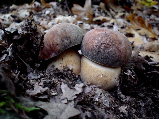 un p� di tempo f� !